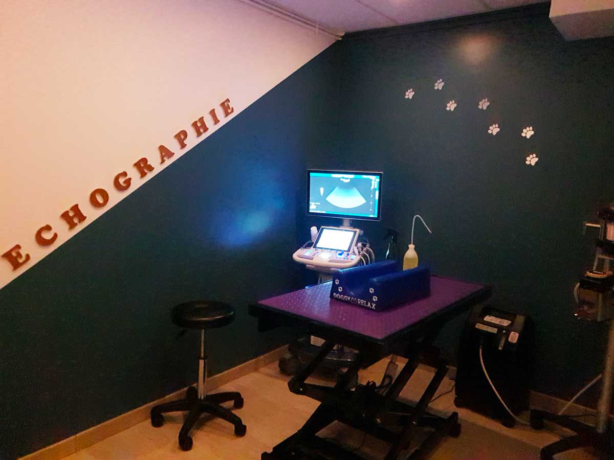 Espace échographie au sein de la clinique vétérinaire "Le 100"